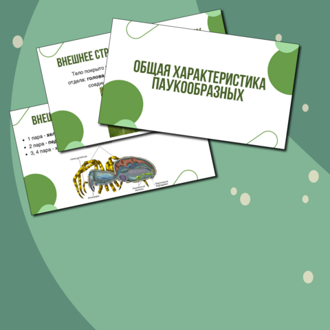 Презентация по биологии «Общая характеристика паукообразных» для 7-го класса.