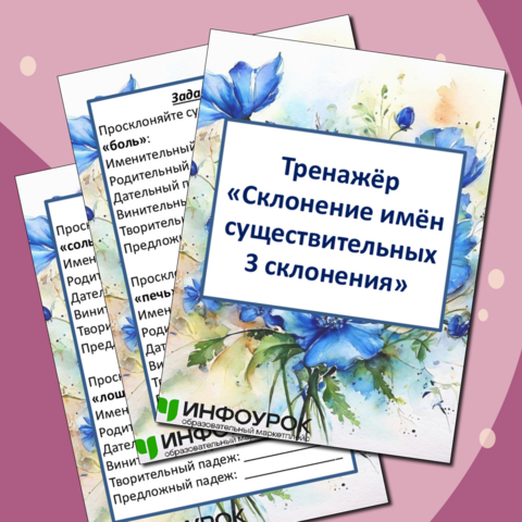 Тренажёр «Склонение имён существительных 3 склонения»