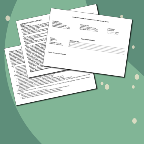 Рабочая программа 