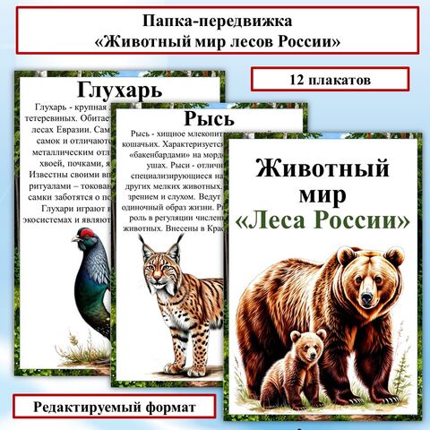 Папка-передвижка «Животный мир лесов России». Природные зоны «Леса России».