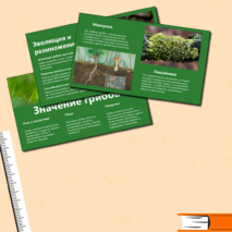 Презентация 