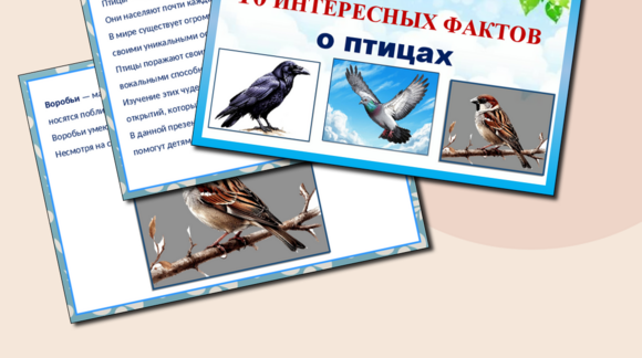 Обложка материала