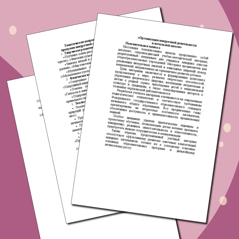 «Организация внеурочной деятельности в начальной школе»