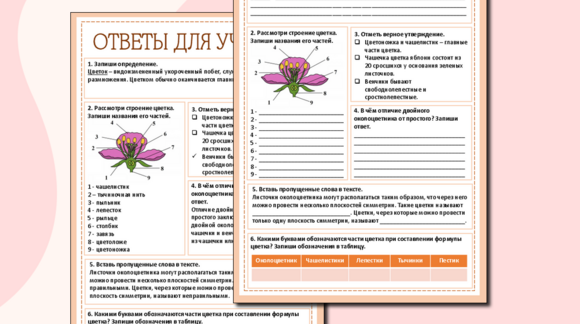 Обложка материала