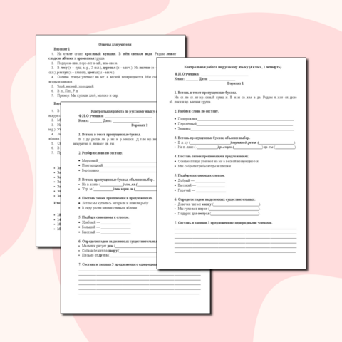 Контрольная работа по русскому языку (4 класс, 1 четверть).