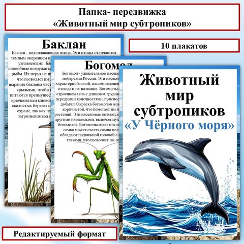Папка- передвижка «Животный мир субтропиков. У Чёрного моря». Природные зоны России.
