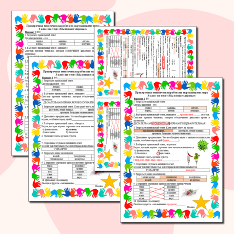 Тематическая проверочная работа №3 
