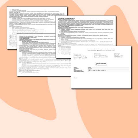 Рабочая программа 