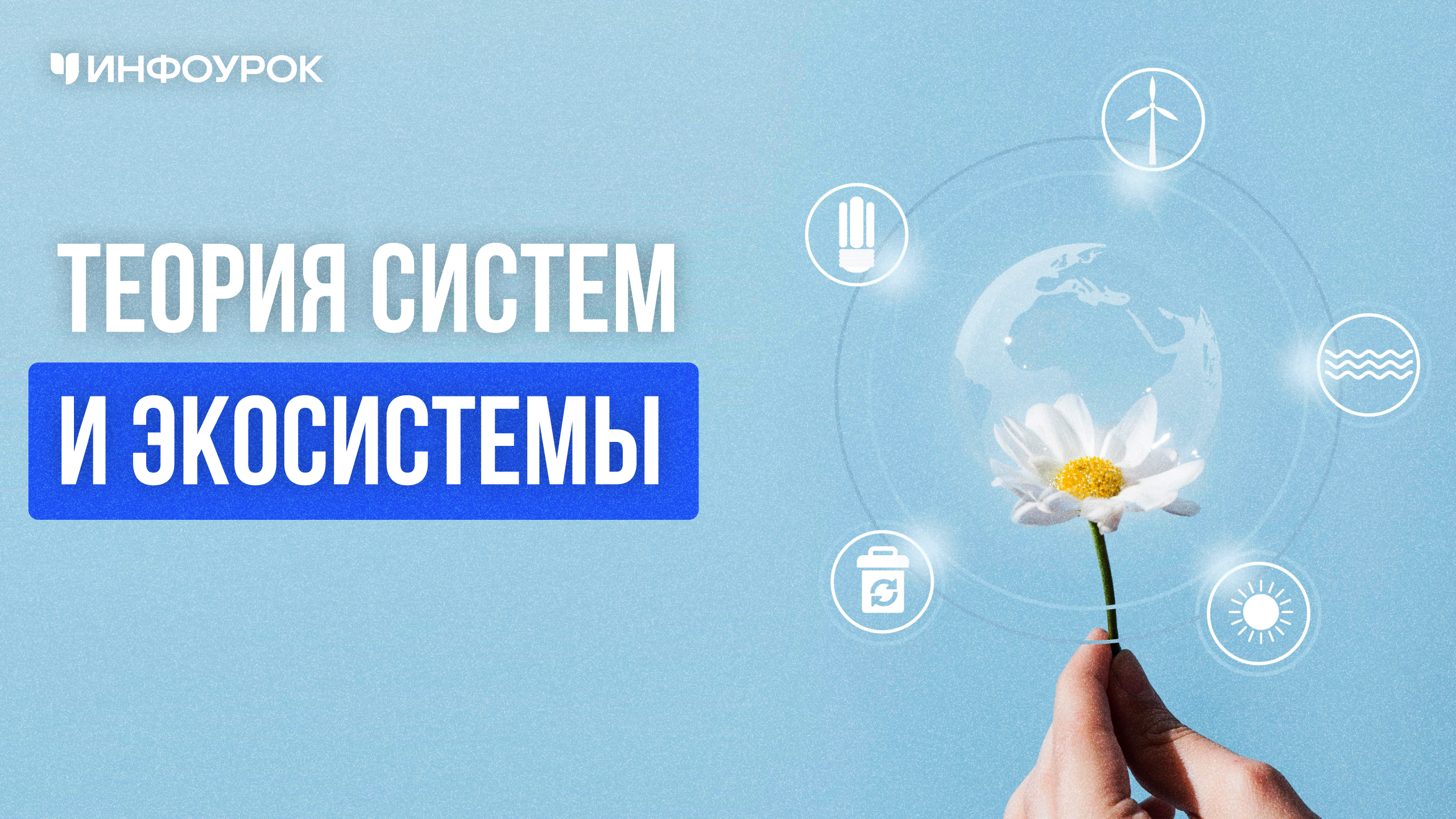 Теория систем и экосистемы