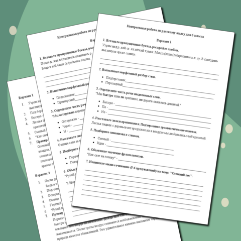 Контрольная работа по русскому языку (6 класс, 1 полугодие).
