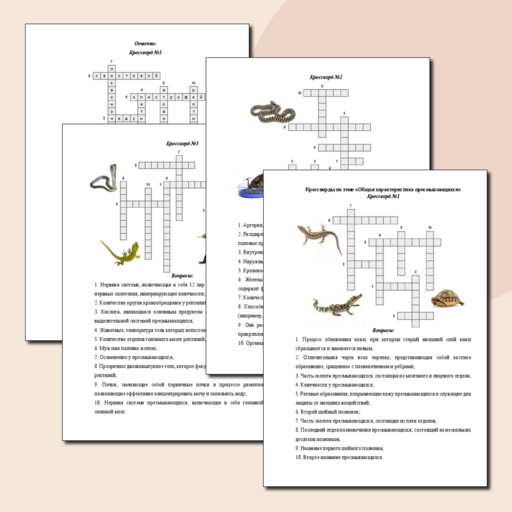 Кроссворды, лабиринты, пазлы, ребусы