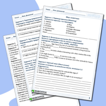 Рабочий лист по английскому языку 