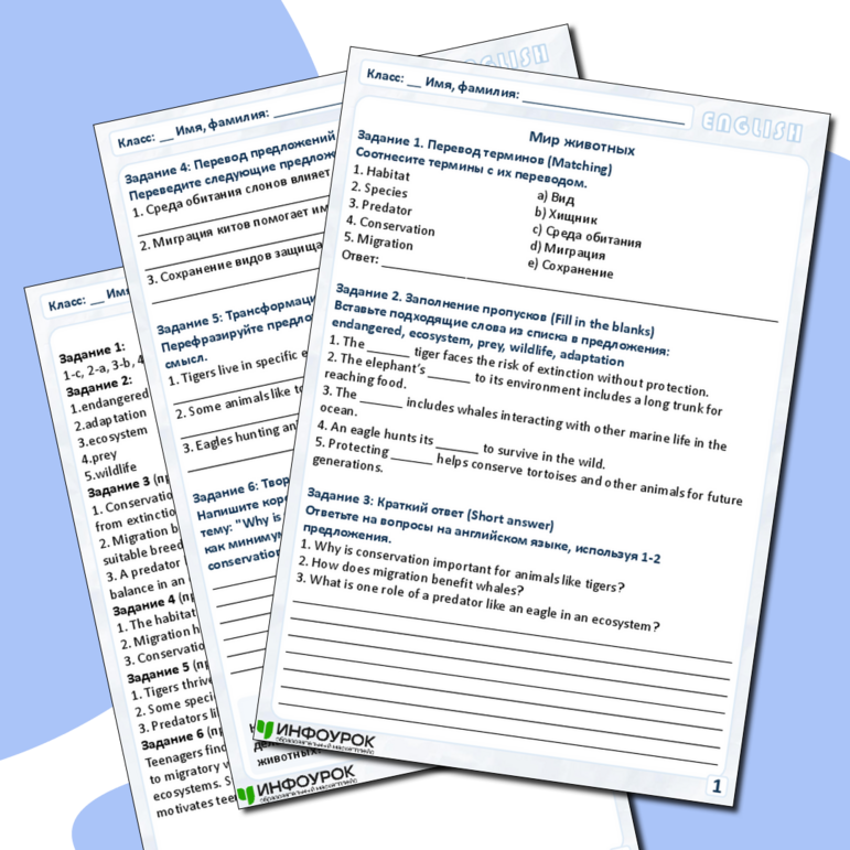 Рабочий лист по английскому языку 