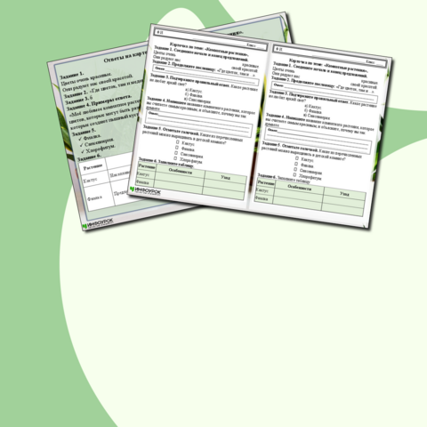 Карточка по теме: "Комнатные растения".