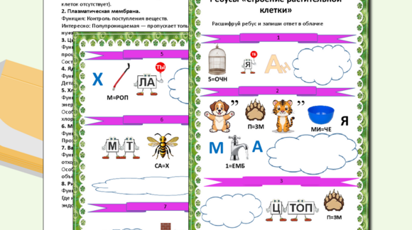 Обложка материала
