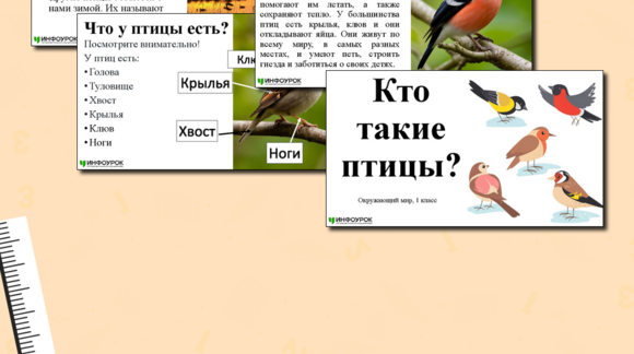 Обложка материала