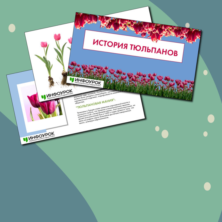 Презентация 