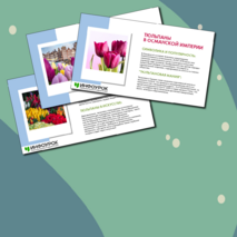 Презентация 