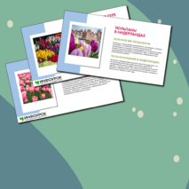 Презентация 