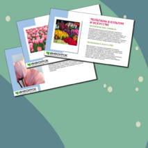 Презентация 