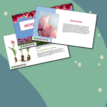 Презентация 