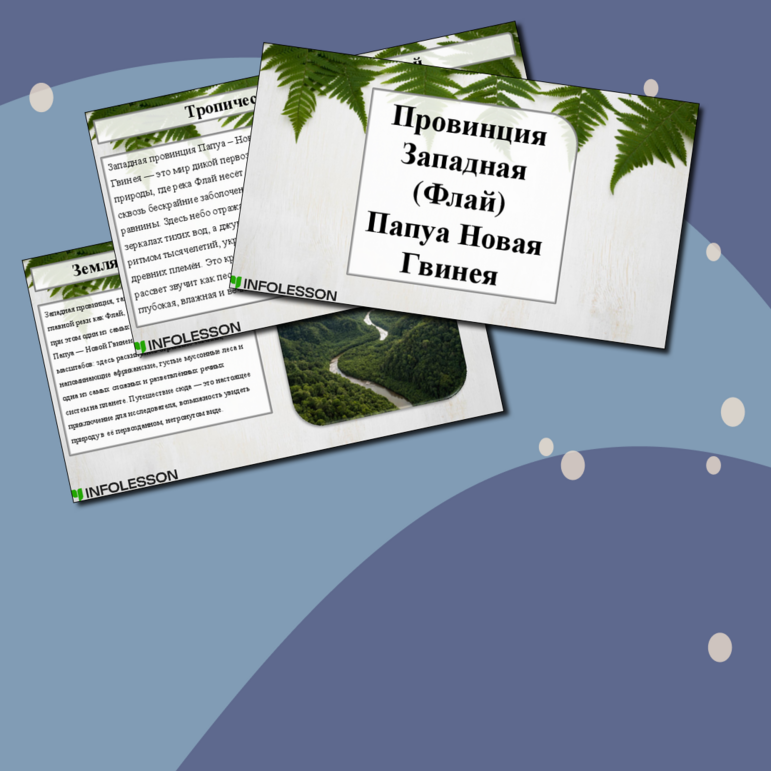 Презентация «Провинция Западная (Флай) Папуа Новая Гвинея»