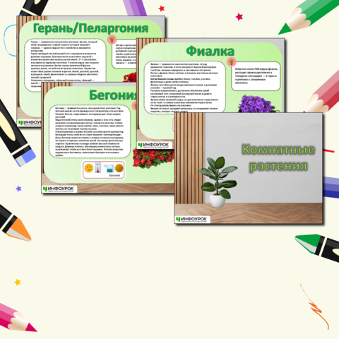 Презентация «Комнатные растения».