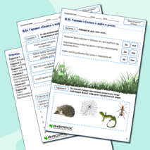 Рабочий лист по литературному чтению «Сказка о жабе и розе»