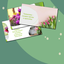 Презентация 