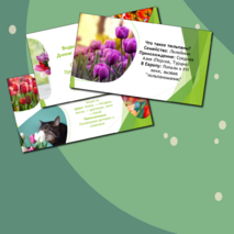 Презентация 