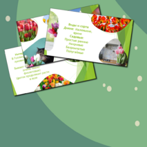 Презентация 