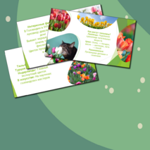 Презентация 