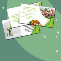 Презентация 