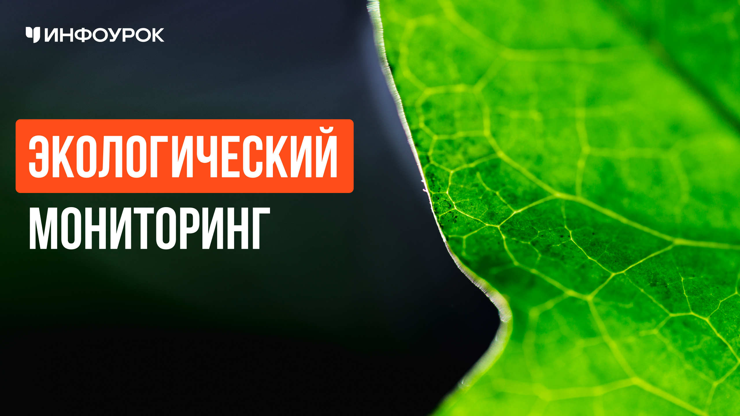 Обложка курса