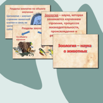 Презентация на тему «Зоология - наука о животных». Биология 8 кл