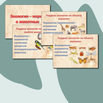 Презентация на тему «Зоология - наука о животных». Биология 8 кл