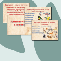 Презентация на тему «Зоология - наука о животных». Биология 8 кл