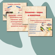Презентация на тему «Зоология - наука о животных». Биология 8 кл