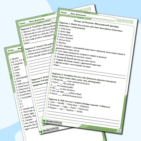 Рабочий лист по английскому языку 