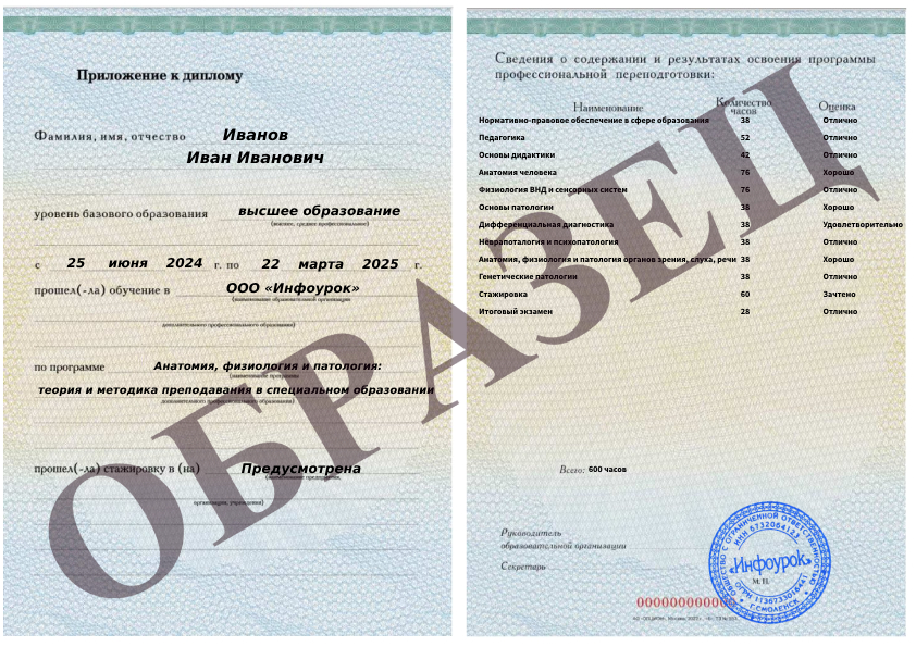 Приложение к диплому