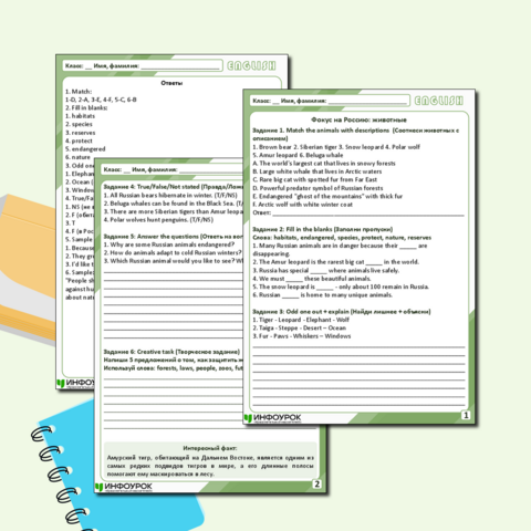 Рабочий лист по английскому языку 