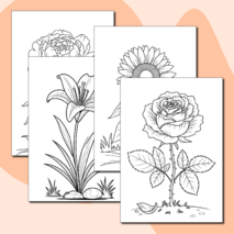 Набор раскрасок с цветами