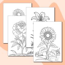Набор раскрасок с цветами
