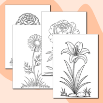 Набор раскрасок с цветами