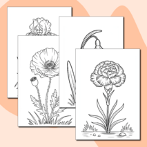 Набор раскрасок с цветами