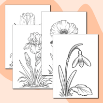 Набор раскрасок с цветами