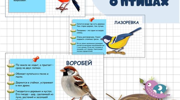 Обложка материала