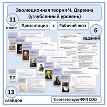 Комплект по биологии (презентация + рабочий лист) «Эволюционная теория Ч. Дарвина» 11 класс (углубленный уровень)