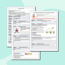 Рабочий лист по биологии. Тема: «Рост и развитие растения»