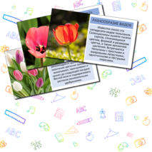 Презентация «Тюльпан»